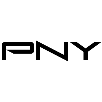 پی ان وای